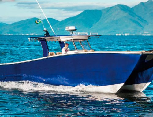 CATFISH35